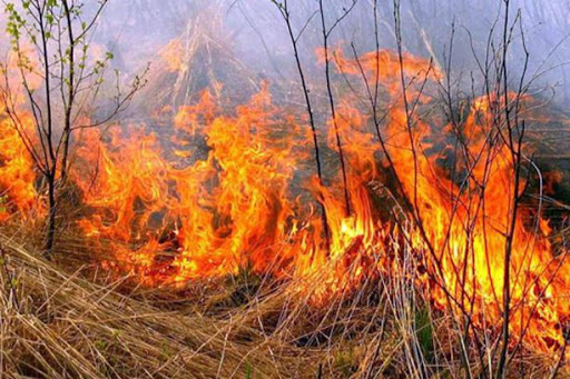 Шановні громадяни! Не спалюйте суху рослинність. Бережіть довкілля!