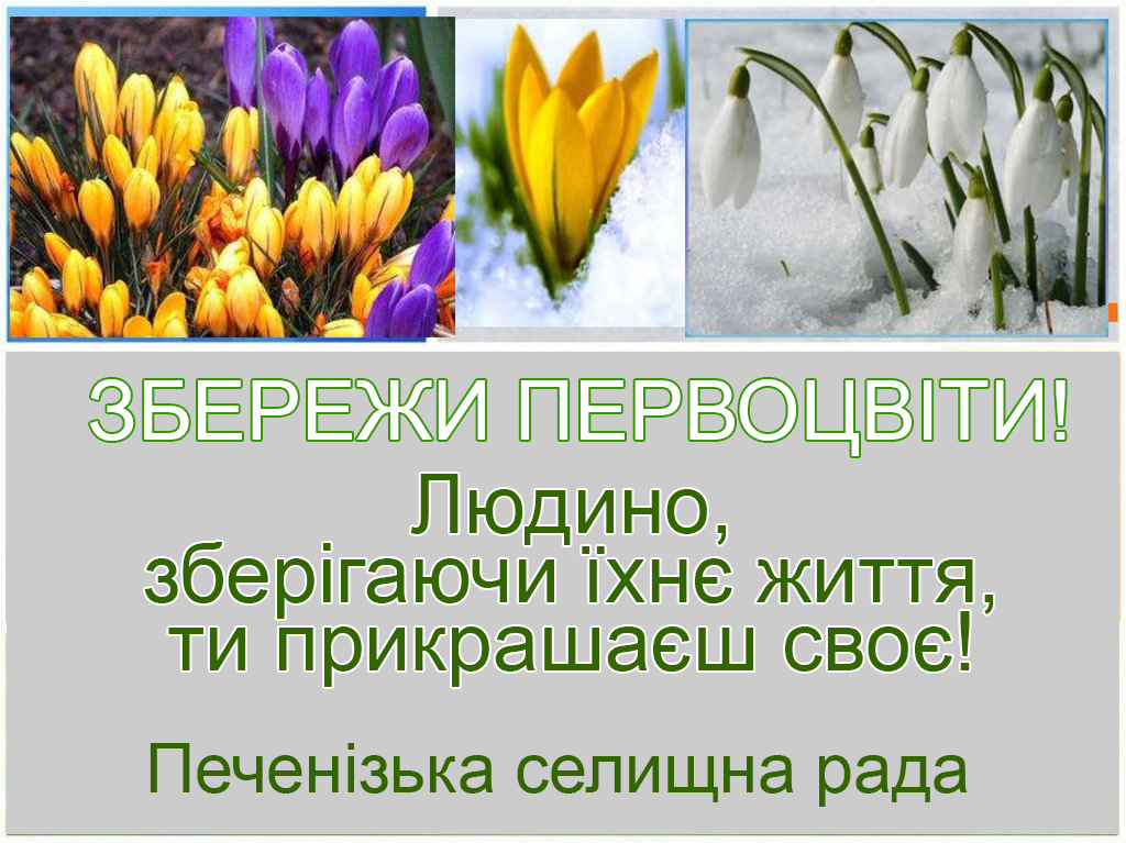 ОПЕРАЦІЯ «ПЕРВОЦВІТ»